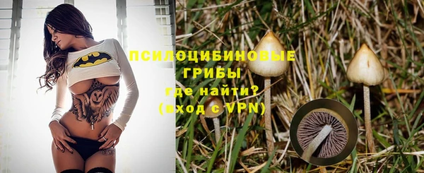 spice Алзамай