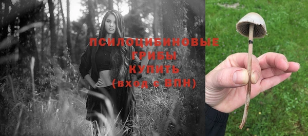 спиды Алексеевка