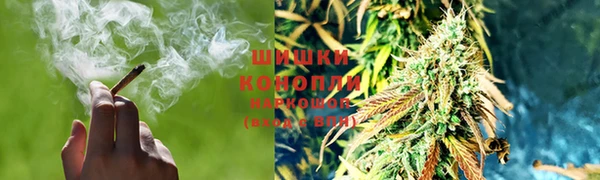 spice Алзамай